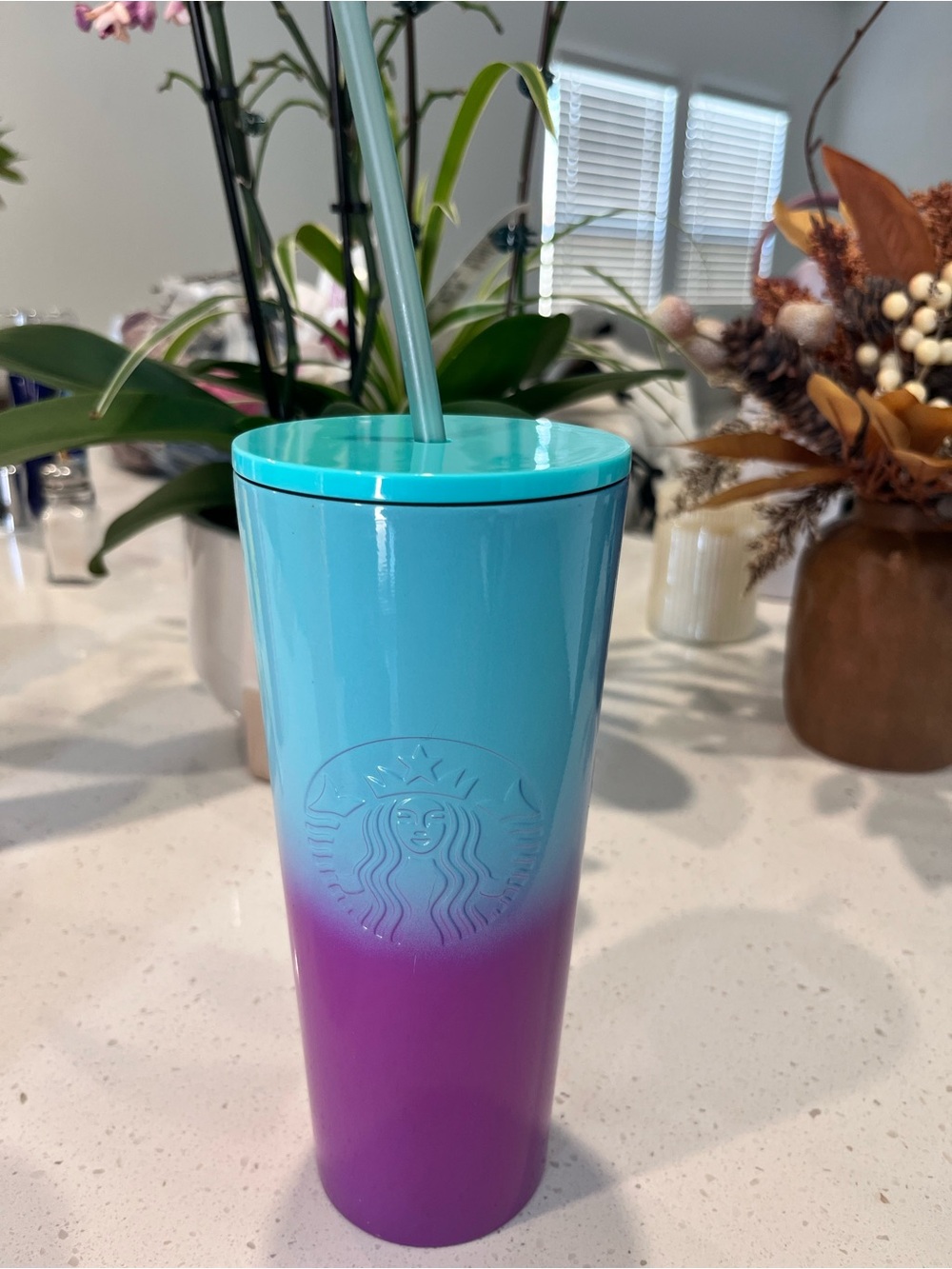 Starbucks Turquoise to Purple Ombre Tumbler with Straw